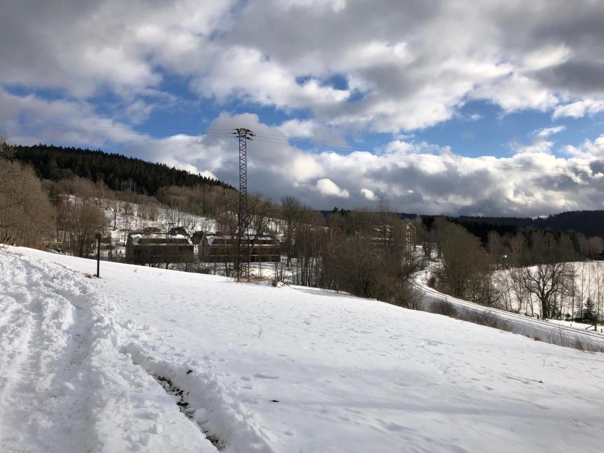 Apartman Boruvka Zelezna Ruda Luaran gambar
