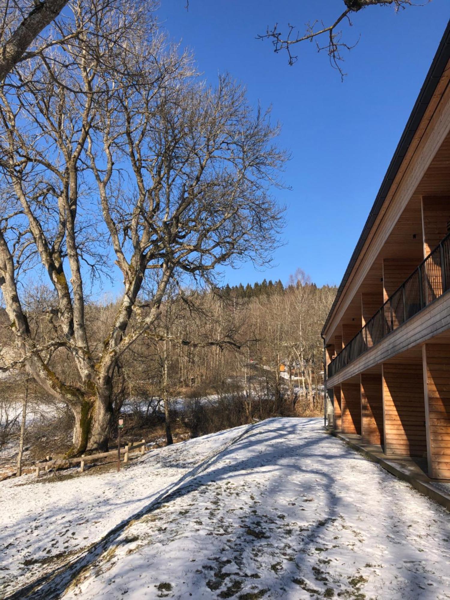 Apartman Boruvka Zelezna Ruda Luaran gambar